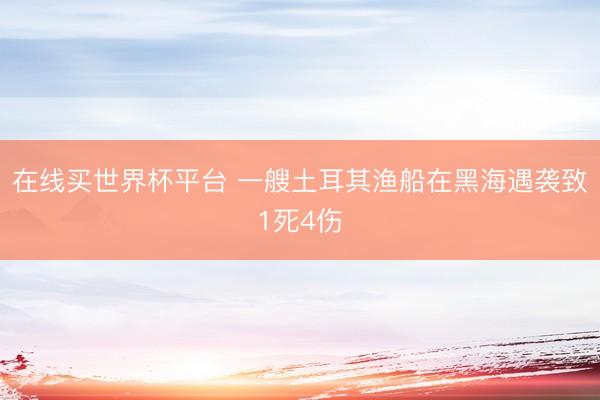在线买世界杯平台 一艘土耳其渔船在黑海遇袭致1死4伤
