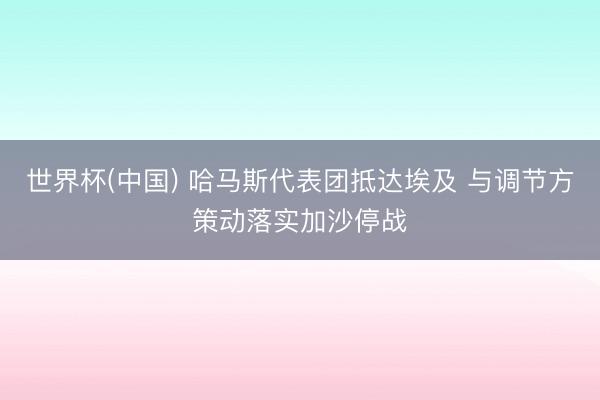 世界杯(中国) 哈马斯代表团抵达埃及 与调节方策动落实加沙停战