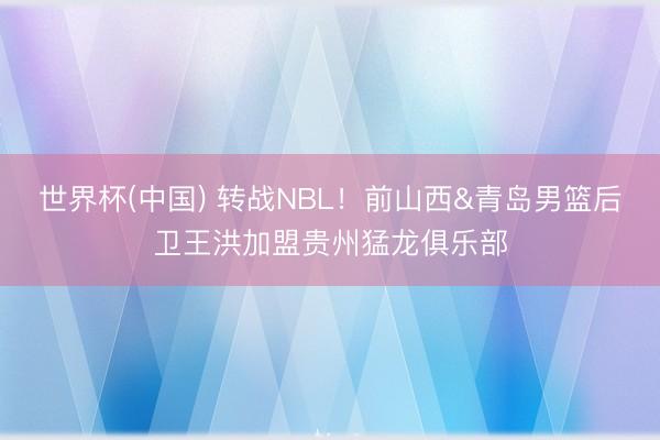 世界杯(中国) 转战NBL！前山西&青岛男篮后卫王洪加盟贵州猛龙俱乐部