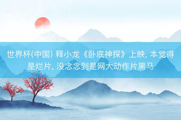 世界杯(中国) 释小龙《卧底神探》上映, 本觉得是烂片, 没念念到是网大动作片黑马