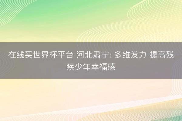 在线买世界杯平台 河北肃宁: 多维发力 提高残疾少年幸福感