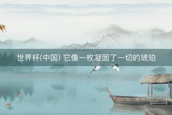 世界杯(中国) 它像一枚凝固了一切的琥珀