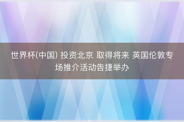 世界杯(中国) 投资北京 取得将来 英国伦敦专场推介活动告捷举办