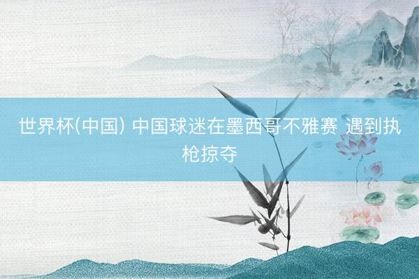 世界杯(中国) 中国球迷在墨西哥不雅赛 遇到执枪掠夺