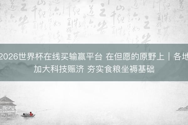 2026世界杯在线买输赢平台 在但愿的原野上｜各地加大科技赈济 夯实食粮坐褥基础