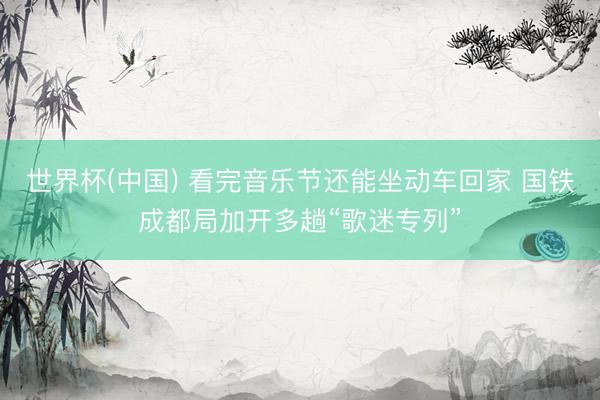 世界杯(中国) 看完音乐节还能坐动车回家 国铁成都局加开多趟“歌迷专列”
