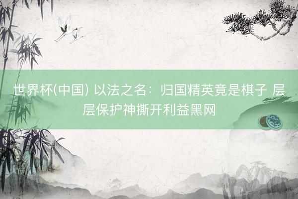 世界杯(中国) 以法之名：归国精英竟是棋子 层层保护神撕开利益黑网